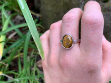 Tigerseye Ring Size 10