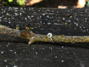 Sterling Silver Nose Ring - Peridot - Made To Order