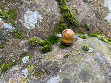 Tigerseye Ring Size 9