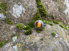 Tigerseye Ring Size 4.75