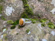 Tigerseye Ring Size 10